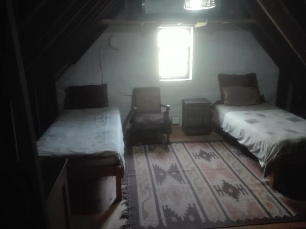 Emerald Hill Cottage Πορτ Ελίζαμπεθ Εξωτερικό φωτογραφία